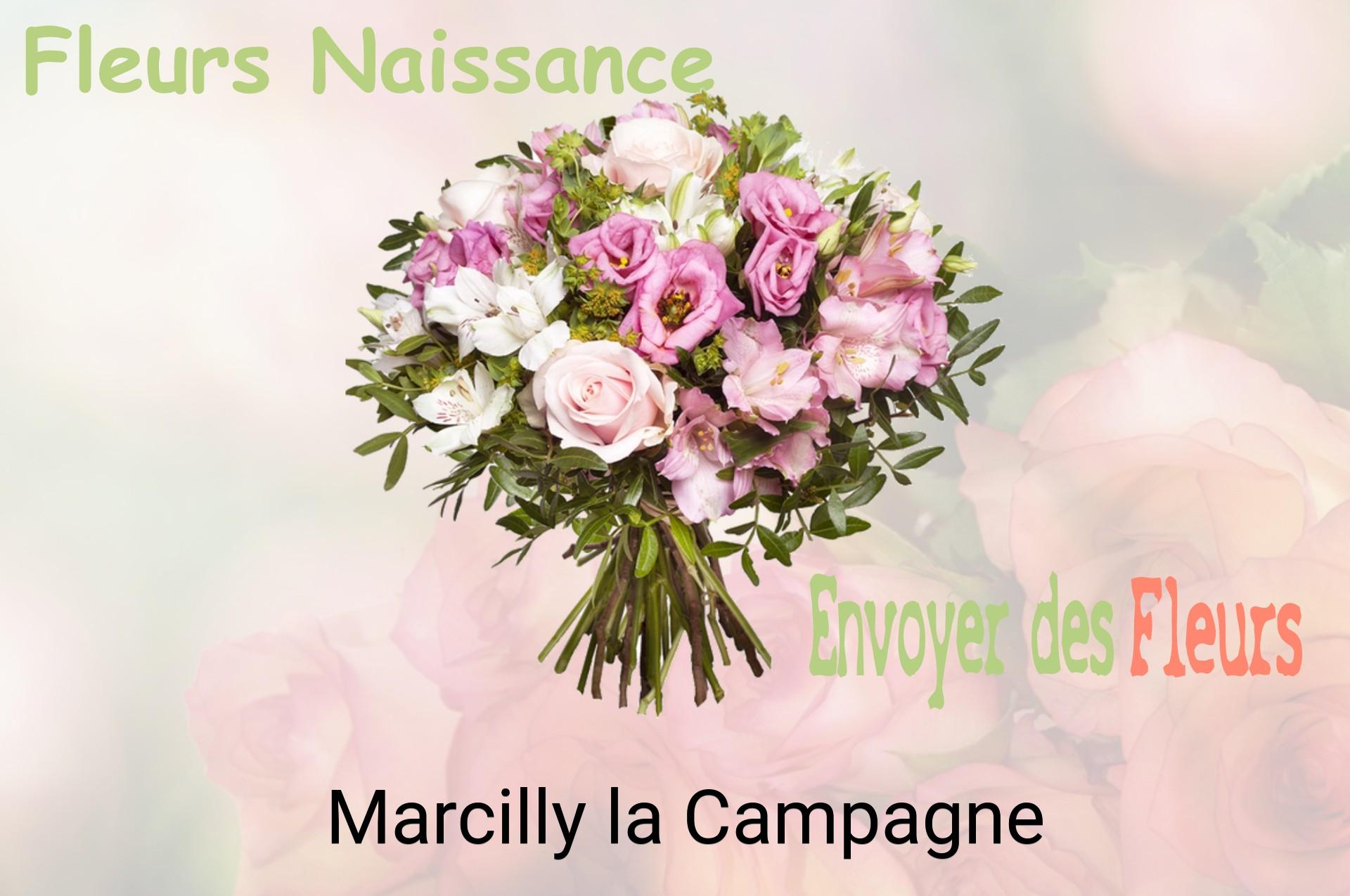 Bouquet de fleurs de naissance livré à Marcilly-la-Campagne